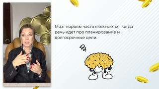Мастер-класс Мозг. Инструкция к применению