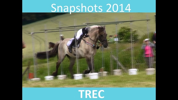 TREC Snapshots