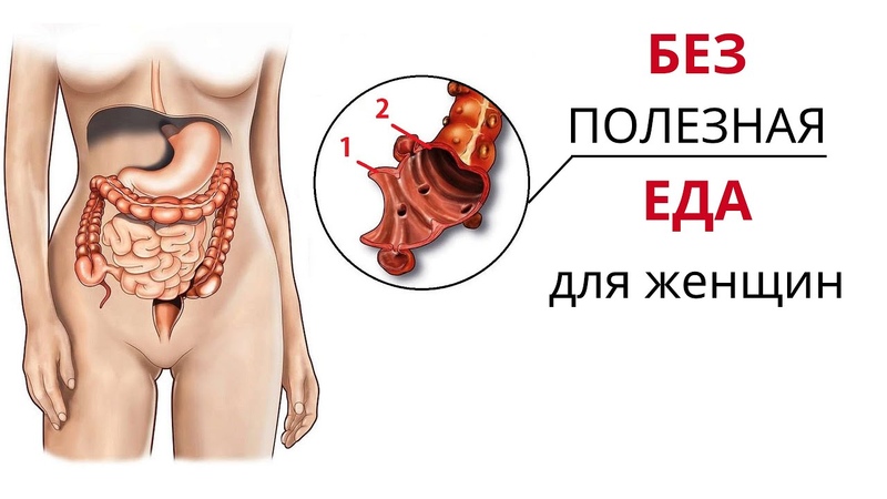 Какая еда помогает при опущении, Как микробы действуют на