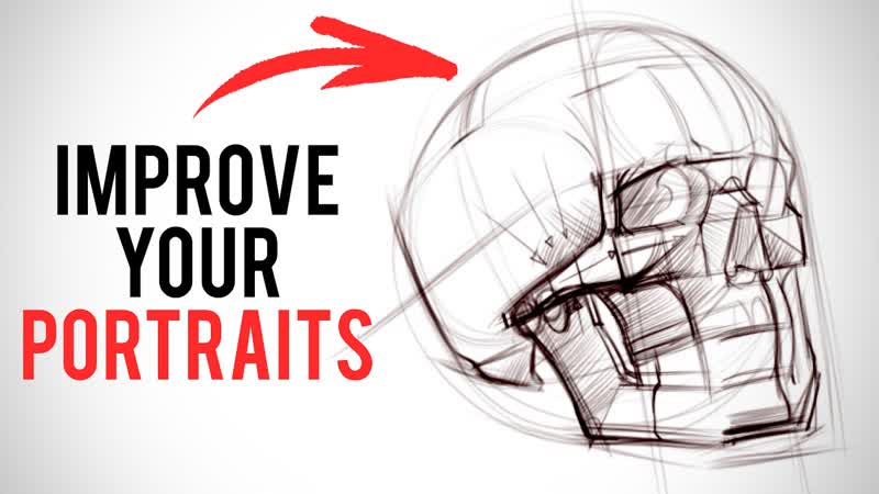 How to Study the Skull for Better