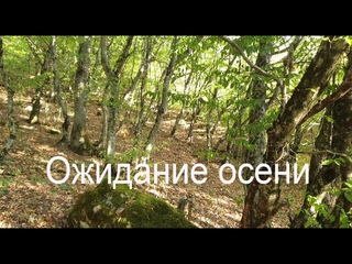 Ожидание осени. Слова и мелодия Николая Носкова