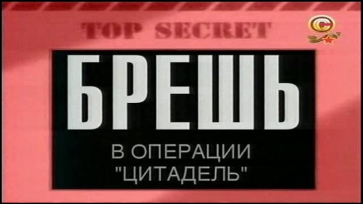 Брешь в операции Цитадель (