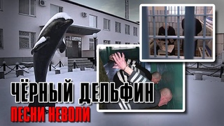 ЧЁРНЫЙ ДЕЛЬФИН | Песни неволи | Русский Шансон