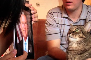 Популярно КОТЭ РАСИСТ