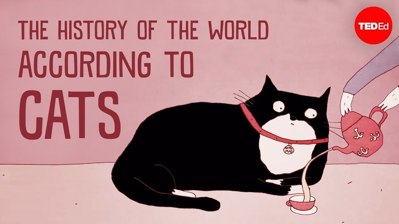 The history of the world according to cats Eva Maria