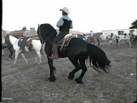 Edwin Rosales en su caballo