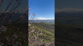 Красота весны побеждает