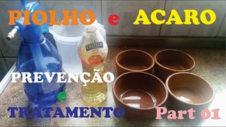 Piolho e Acaro em AVES Preveno e Tratamento Part 01