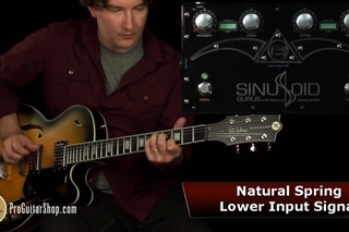 Gurus Sinusoid Optical Tremolo & Spring Reverb