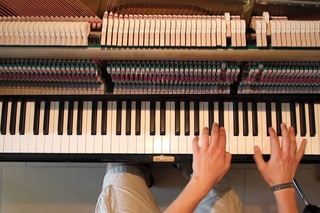 Gravity - Wolf's Rain Piano Cover (hard)