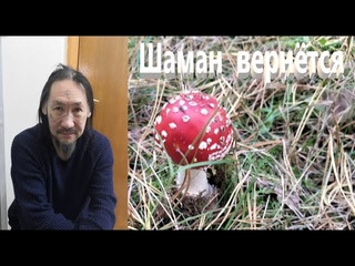 Шаман Габышев остаётся в Застенках ПНД Всё будет Хорошо
