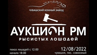 Чувашский Конный Завод. Жеребцы 2021 года рождения.
