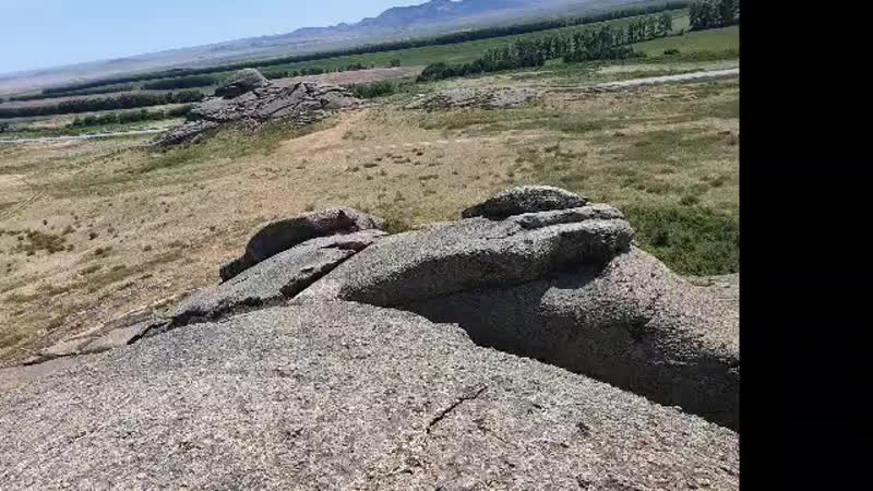 настя