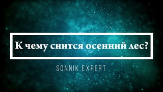 К чему снится осенний лес - Онлайн Сонник Эксперт