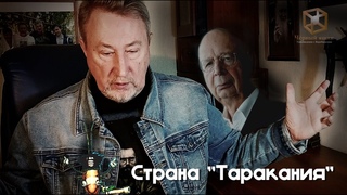 Чёрный Ящик - Страна Таракания