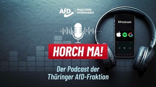Folge #6 Themen: Demokratiecheck I Staatskanzlei-Affre I Linksruck in der CDU