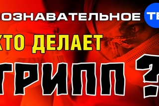 Кто делает грипп?