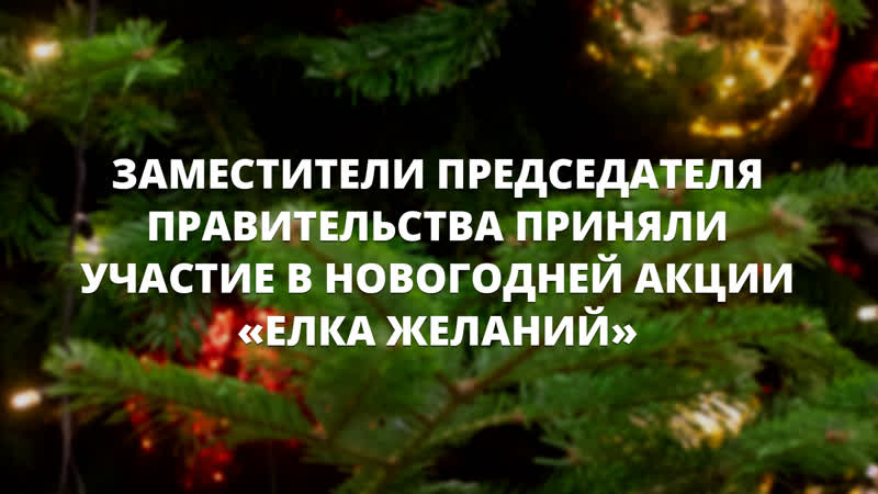 Заместители председателя правительства приняли участие в