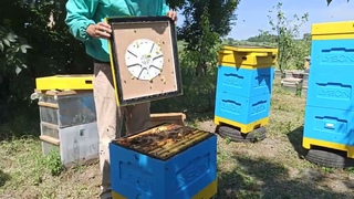 Пчелоудалители на улей ЛЫСОНЬ