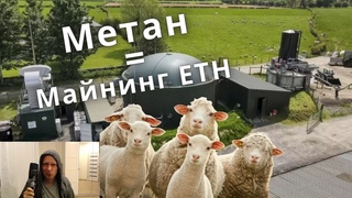 Электричество из биотоплива для Майнинга! Британец майнит на Гов.е!
