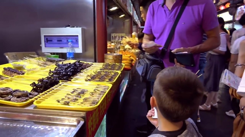 ВЛОГ Катя съела скорпиона Зоопарк и Панды Катаемся на Минни