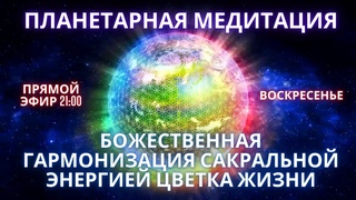 🌍🧘✨ПЛАНЕТАРНАЯ МЕДИТАЦИЯ Цветок жизни и Гармонизация сакральной золотой решетки Земли / Фидря Юрий