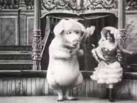 Le cochon danseur