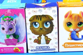 Мармелад с Игрушкой Пушистики Королевские Питомцы Sweet Box Surprise Eggs