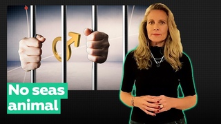 Solo por ser hombres son dainos, por lo tanto, han de ser rediseados