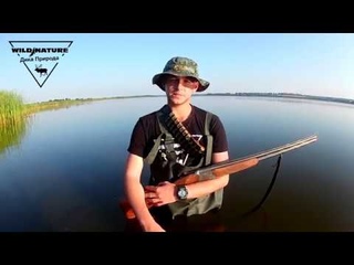 Відкриття полювання на качку 2017