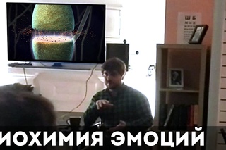 Антон Захаров: Биохимия эмоций