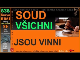 SOUD. POLITICI Z CELHO SVTA KE BUDOU KOPAT CHODNKY. POKUD EI BUDOU DLE VOLIT ODS+ TAK PRDEL