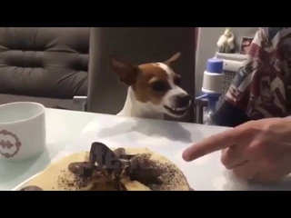 Не смей трогать торт