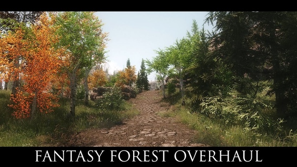 TES V Skyrim Mods: Fantasy Forest
