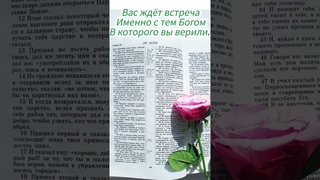 А в какого Бога веришь тыЛуки 19:15