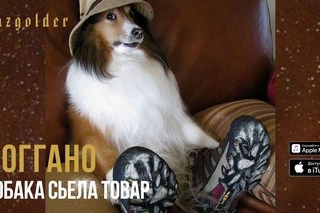 Ноггано - Собака съела товар