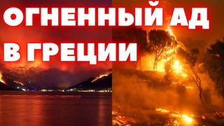 В Греции лесные пожары сгорели заживо 20 человек, 79 человек арестовали из за поджогов