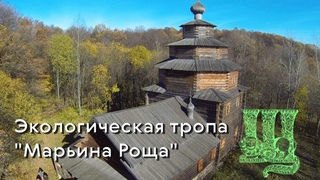 Экологическая тропа Марьина роща - видеоэкскурсия