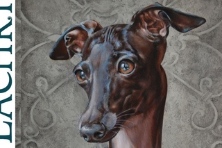 Time Lapse Italian Greyhound  oil over acrylic painting  “Speed Painting“ demonstration by Lachri