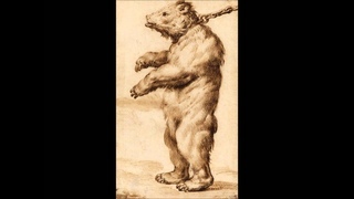 Joseph Haydn / Symphony No. 82 in C major L'Ours (Weil)