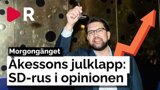 Morgongnget: Jimmie kessons julklapp: SD rusar i opinionen