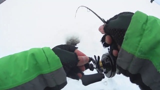 Где раки зимуют или лютый  ратлин Madness.