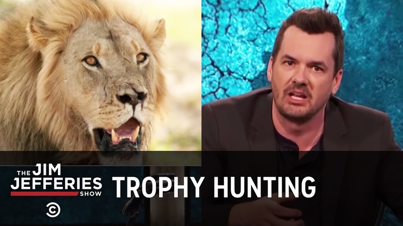 Xanda the Lion and the Bloodlust of Trophy Hunters The Jim Jefferies