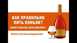 Как правильно пить коньяк Из каких бокалов пить коньяк