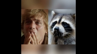 Johnny Flynn - Rocky Raccoon (Fan-Art-Video)