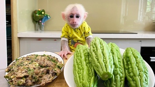 Bibi monkey cooks Meat Stuffed Bitter Gourd Yummy Cheap