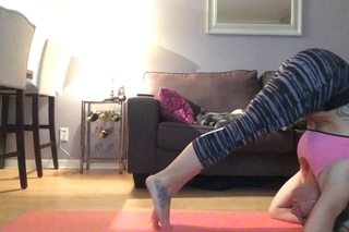 Yoga fail cats face plant