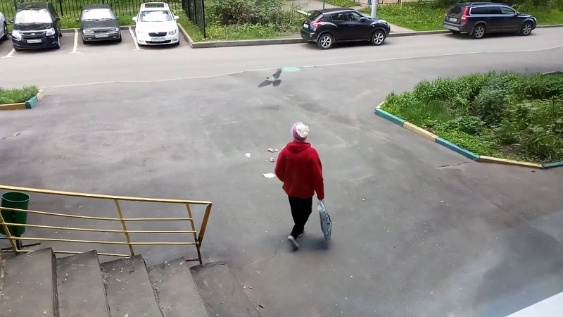 Ворона беспределит во