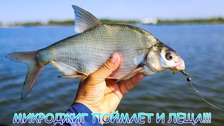 МИКРОДЖИГ с лодки ранним утром! Поймал всё что было в воде!!!