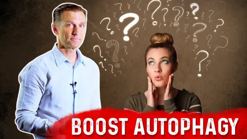 Enhance Autophagy with This ONE